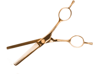 Oci Scissor@2x